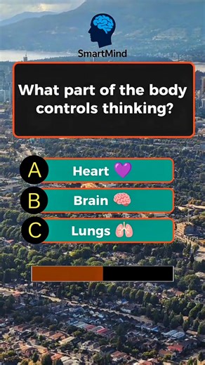 Test your knowledge with these 9 fun quiz questions! 🤔🎯 Can you get them all right? 🏆 | Quiz 4 Brain