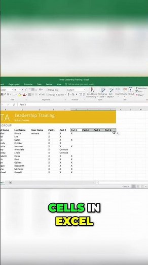 Excel Cells Master Insert, Delete, Copy, Paste!
