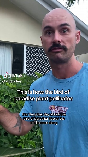 snippy boy on TikTok