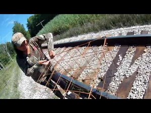 Turtle trapping ponds and swamps