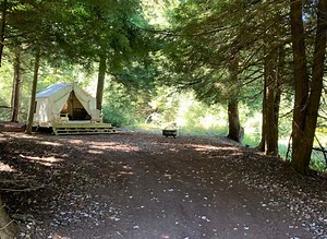 16 Best Yurts in Maryland To Rent For a Glamping Getaway - Yurt Trippers