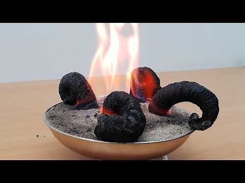 How to make fire black snake? Amazing Science Experiment