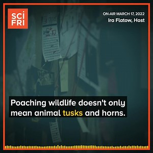 On today's episode of Science Friday 📻, learn how your home can help reduce carbon emissions. Plus, we'll talk about why a third of medical GoFundMe campaigns fail. Then, SciFri Book Club returns to discuss how scientists are learning about the history of water on Mars. Finally, a look at wildlife crime involving a bug heist and rare succulents: 🛰 The James Webb Telescope releases its first focused image 🏡 How the climate crisis is driving new home improvements 🔍 From succulents to bugs: Exp
