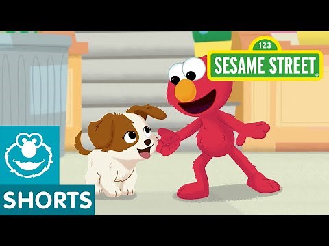Elmo Got A Pandemic Puppy — Meet Sesame Street's Newest Character