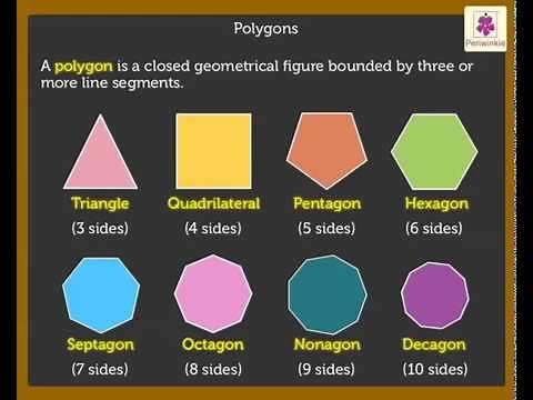 Polygons | Mathematics Grade 5 | Periwinkle