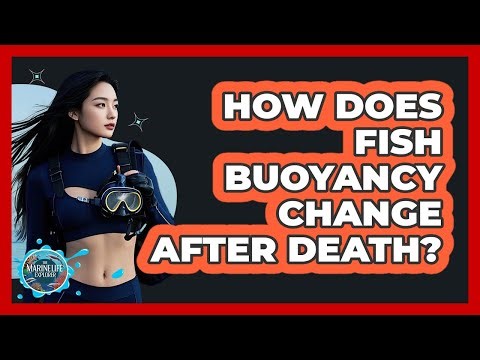 How Does Fish Buoyancy Change After Death? - The Marine Life Explorer