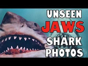 RARE AND UNSEEN PHOTOS OF THE SHARK FROM JAWS
