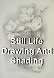 Still Life Drawing And Shading – An Illustrated Guide for beginners