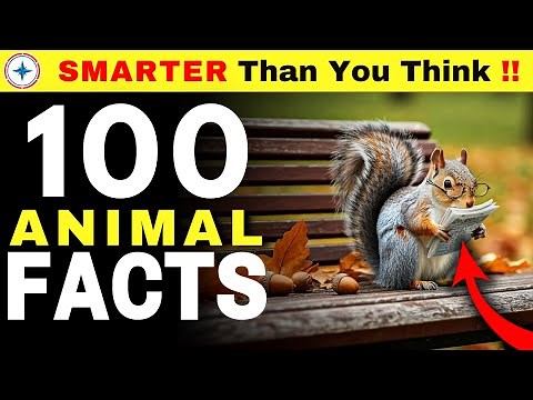 100 Animal Facts [ Part 01 ] Will Change How You See NATURE