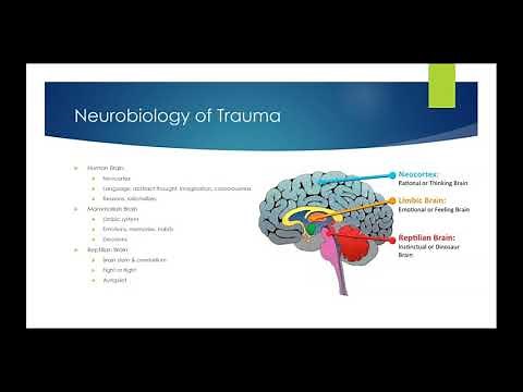 Trauma & the Body: How Trauma Manifests in the Body and Informs Approaches to Healing