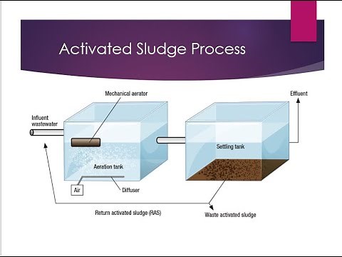 Activated sludge process | Engineering Chemistry | BSc Chemistry