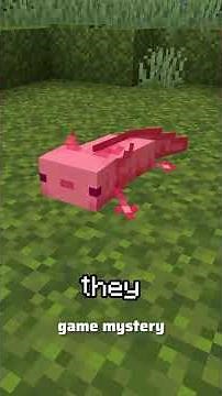 "Unleashing the Unexpected: The Axolotl Mob – Minecraft's Hidden Most Vicious Predator!"