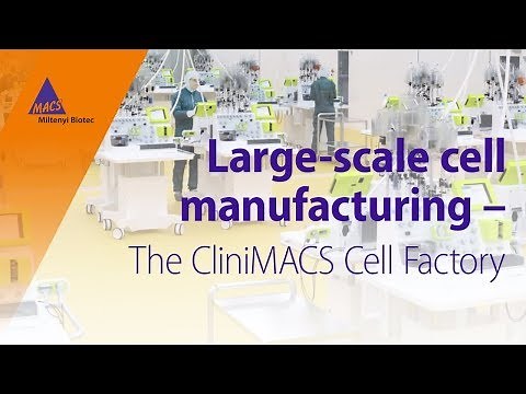 Large-scale cell manufacturing – The CliniMACS Cell Factory®