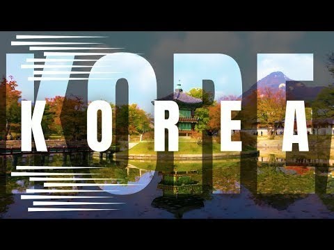 How to Make a Transparent Animation in Canva for Beginners