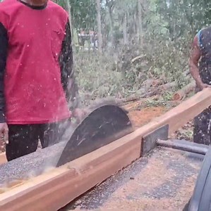 693K views · 3.1K reactions | The best skill team work with cutting wood | Making Video | Facebook