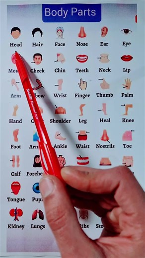 📚 Do you want to learn English fast and easily? You're in the right place! 💪 Watch my short lessons every week and improve your English step by step. Join our community of learners today and start speaking confidently! 🌍✨ Don’t forget to follow for more exclusive lessons 🔥 #learnenglish #englishforyou #englishlesson #englishteacher #englishlearning