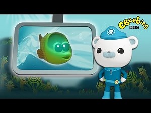 CBeebies: Octonauts - Spookfish Creature Report