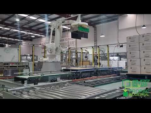 Palletiser & Stretch Wrapper System