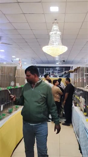 Fancy Pigeons Show 2026 #fancypigeonlover #petguruji #pigeonlover | Pet Guruji