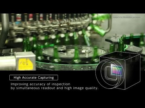 Global shutter image sensors in machine vision applications