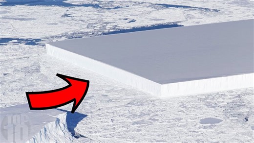 10 Mysterious and Strange Things Found Frozen In Antarctica Ice