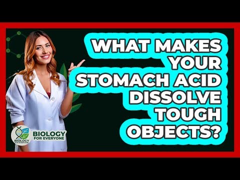 What Makes Your Stomach Acid Dissolve Tough Objects? - Biology For Everyone
