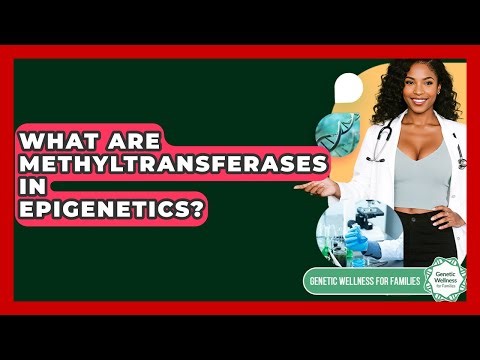 What Are Methyltransferases In Epigenetics? - Genetic Wellness for Families