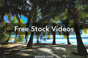 Zoom Background Videos, Download The BEST Free 4k Stock Video Footage & Zoom Background HD Video Clips