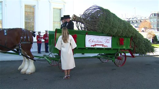 It's beginning to look a lot like.... Christmas at the White House. Today's top stories at fox8.com. | Fox 8 News
