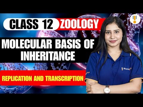 Molecular Basis of Inheritance | Replication and Transcription | Class 12th Zoology | Rankplus