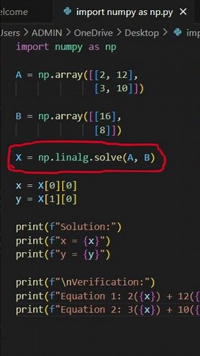 Equation solver using Python NumPy.