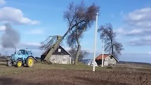 Tree Felling Gone Wrong: Dangerous Chainsaw Fails and Trees Falling on Houses