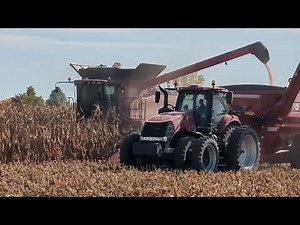 Harvest 2023 Rare Catch in Indi - CASE IH Axial-Flow® 5130 - Magnum 280 J&M 875 #harvestchaser 4K