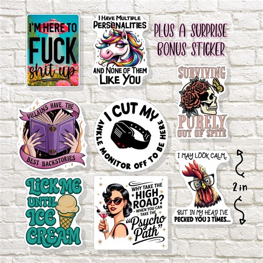 Funny Adult Sticker Pack – Naughty Humor Bundle | Sarcastic Gag Gift for Friends - Etsy