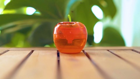 Amazon.com: Raid Fly Ribbon, Fly Traps for Indoors and Outdoors, Bug Trap for Flying Insects, Pack of 10 : Patio, Lawn & Garden