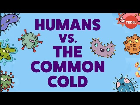 Why is it so hard to cure the common cold?
