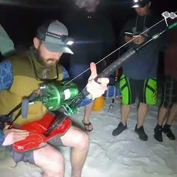 'Catch of a lifetime': Fisherman catches 12-foot great white shark caught on Florida beach