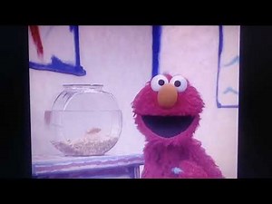 Elmo's World Mail Intro