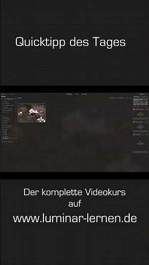 Quicktipp: Optimale RAW-Bearbeitung mit DxO Pure Raw & Luminar Neo