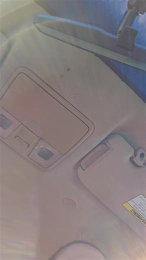 Brain Dissection (@braindissection)’s videos with original sound - Brain Dissection