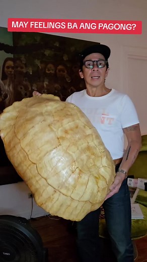 Understanding the Sensitivity of Turtle Shells: The Connection to Pain and Protection