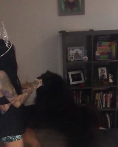 1.1K views · 18 reactions | In case you didn’t know, our current Miss Pole Dance Australia is not only queen of the pole world, but liken to a Disney princess she can command animals and creatures around her to do whatever she likes! Yet another perk of being Queen 路‍♀️ | Miss Pole Dance Australia | Facebook