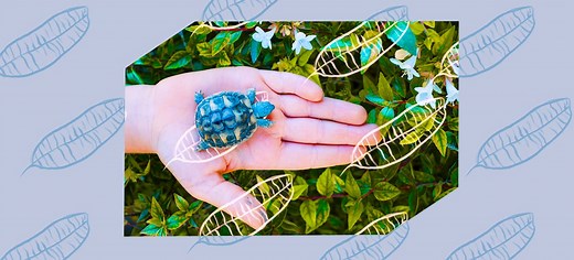 55  Best Climate Change Quotes to Inspire Action for the Environment