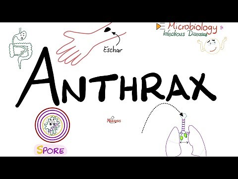 Anthrax - Causes, Symptoms, Diagnosis, Treatment - Bacillus anthracis - Microbiology 🧫