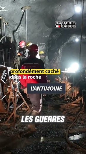 La "numérisation" de la vie n'existe pas