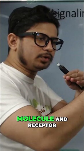 Understanding GPCRs and RTK: Key Signal Transduction Pathways