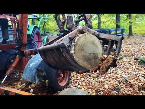 ATLAS AL 330 Bj. 1968 - Erste Holz Arbeiten im Herbstwald am 08.11.2023 (Teil 3/3)
