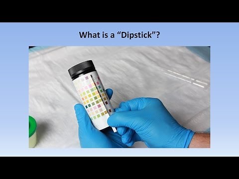 Interpretation of the Urinalysis (Part 2) - The Dipstick