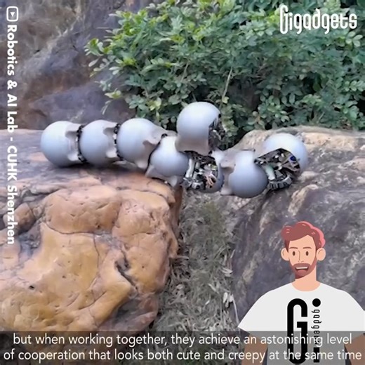 683K views · 10K reactions | These snail-inspired robotic swarms look...