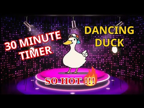Duck Dancing Animation 30 minutes - Countdown Timer 30 minutes - Walking Duck - Tick tock